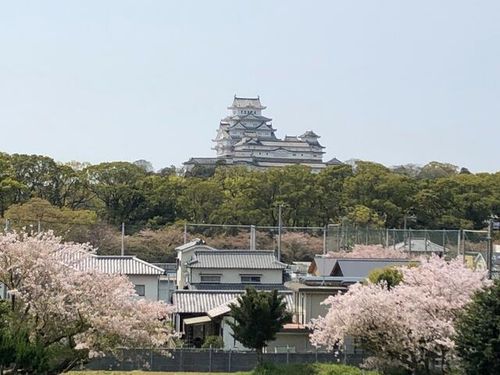 兵庫県姫路市八代(マンション)の賃貸物件のその他画像