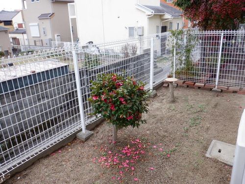 兵庫県宝塚市仁川旭ガ丘(アパート)の賃貸物件のその他画像