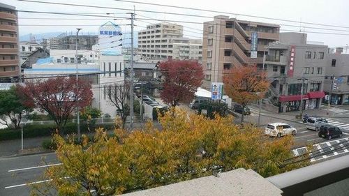 エース参番館のその他画像