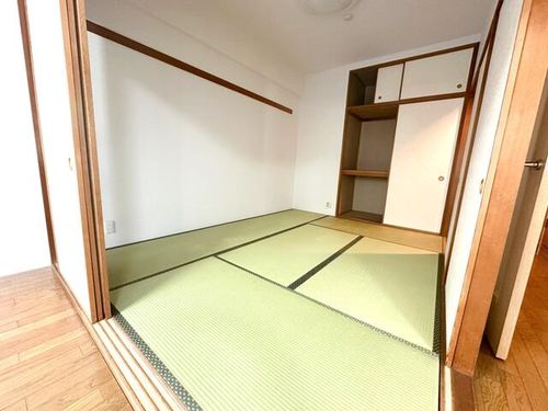 大阪府泉大津市助松町3丁目(マンション)の賃貸物件104の内装