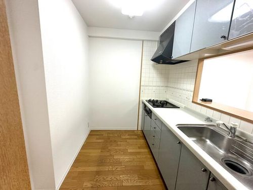 大阪府泉大津市助松町3丁目(マンション)の賃貸物件104のキッチン