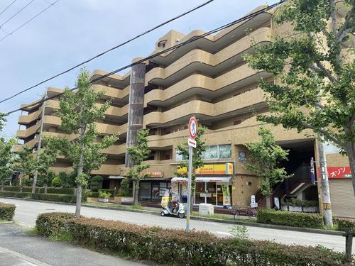 マブランシェット弦月の外観