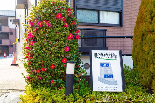 京都府木津川市梅美台7丁目(アパート)の賃貸物件301の外観