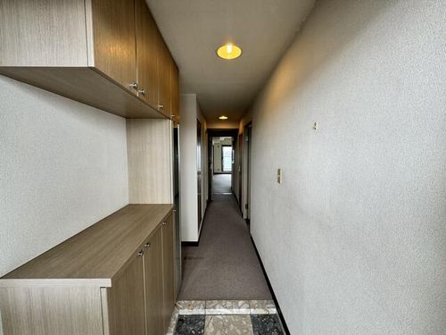 兵庫県加古川市加古川町河原(マンション)の賃貸物件の外観