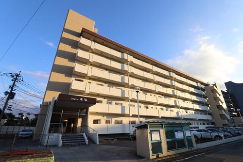 シャトー水江302の外観