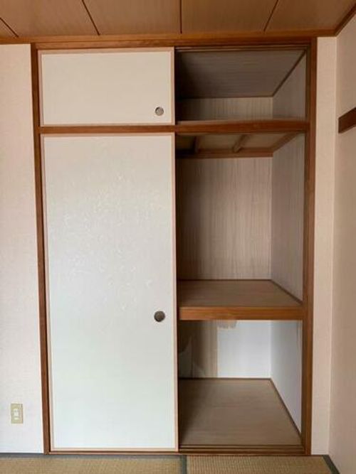 京都府京都市伏見区桃山町大島(マンション)の賃貸物件の内装