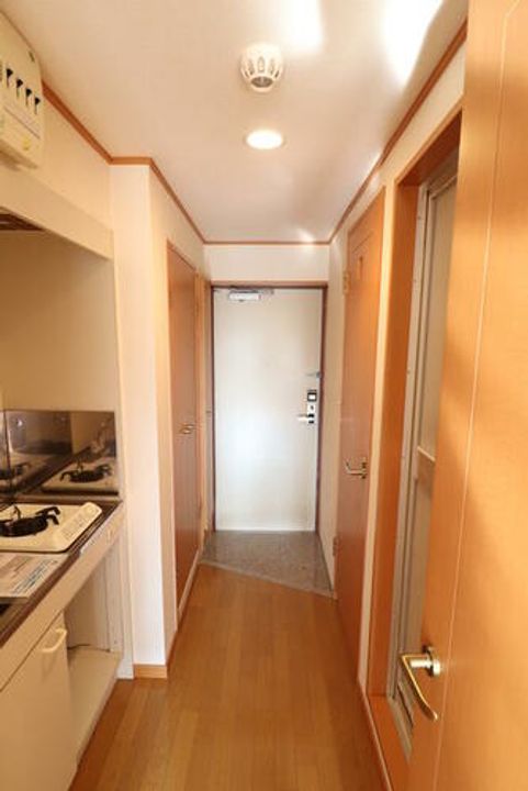 ヤナガワアイビースクエア312の玄関