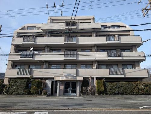 兵庫県神戸市長田区西丸山町3丁目(マンション)の賃貸物件の外観