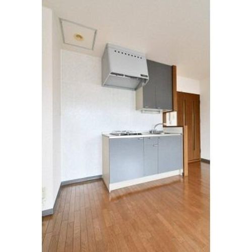 グリーンパークMSのキッチン