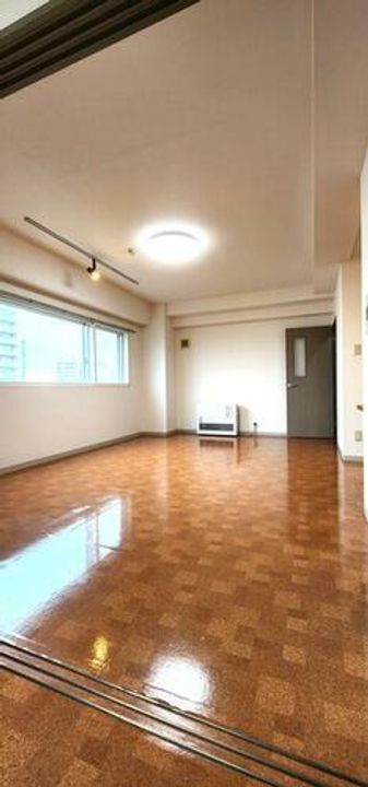 北海道江別市東野幌本町(マンション)の賃貸物件の居間