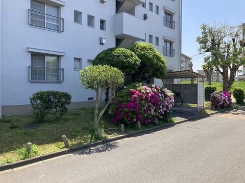 浅香山住宅27棟のその他画像