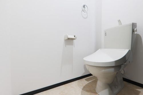 愛知県清須市新清洲3丁目(一戸建)の賃貸物件Dの内装