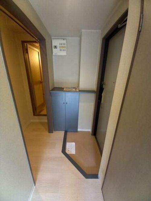 ヴェルファーレの玄関
