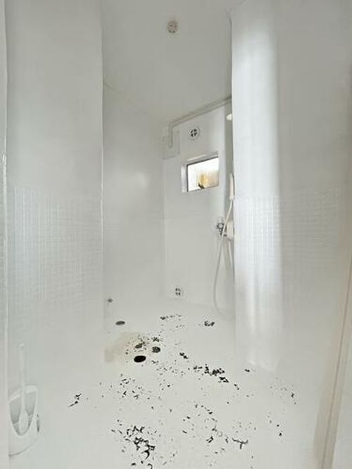 中之庄ハイツの風呂