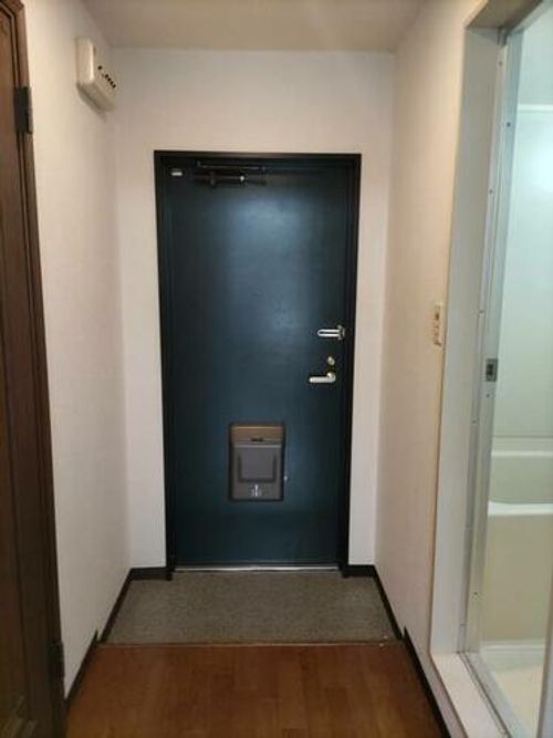 Solaris-ソラリス-のその他画像