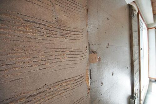 福岡県福岡市城南区友丘2丁目(マンション)の賃貸物件503のその他画像