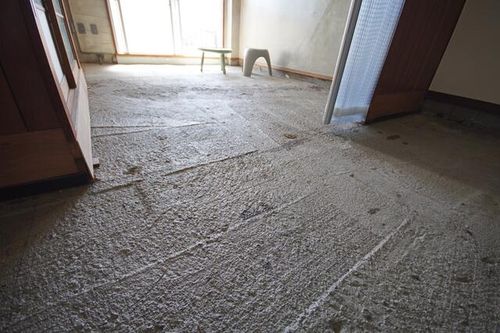 福岡県福岡市城南区友丘2丁目(マンション)の賃貸物件503のその他画像