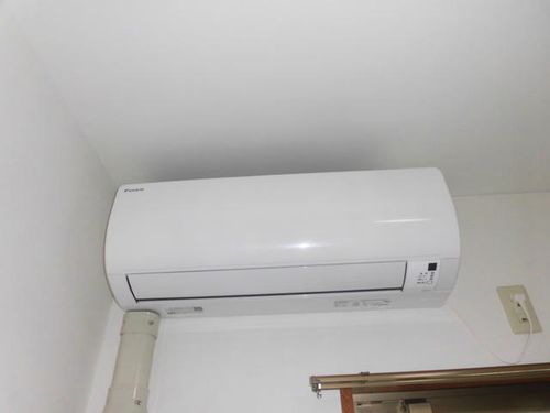 グレースアカマツのその他画像