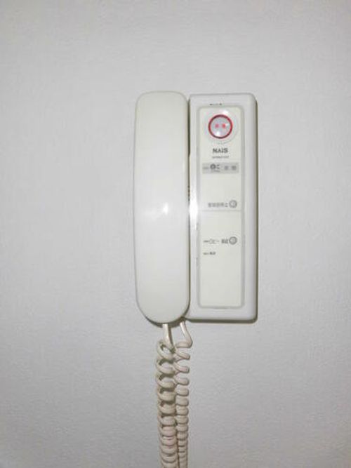 グレースアカマツのその他画像