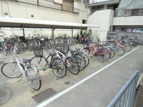 グレースアカマツのその他画像