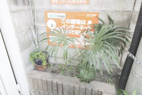 福岡県福岡市早良区昭代2丁目(マンション)の賃貸物件のその他画像