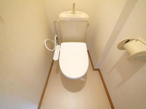 ローマ・パラシオ下向山203の内装