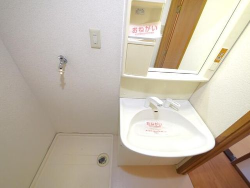 ローマ・パラシオ下向山203の内装