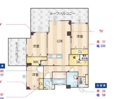 福岡県福岡市中央区平尾5丁目(マンション)の賃貸物件の間取り