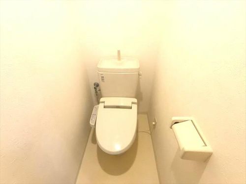 兵庫県神戸市東灘区西岡本5丁目(マンション)の賃貸物件の内装