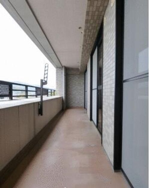 TSコアラの内装