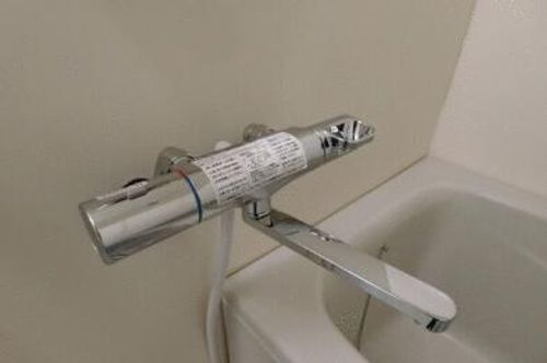 TSコアラのその他画像