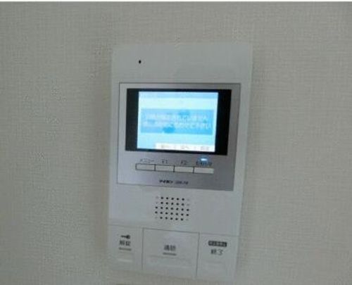 TSコアラのその他画像