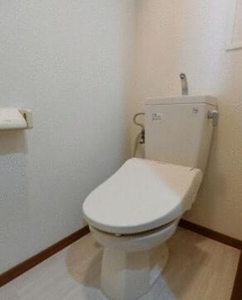 TSコアラの内装