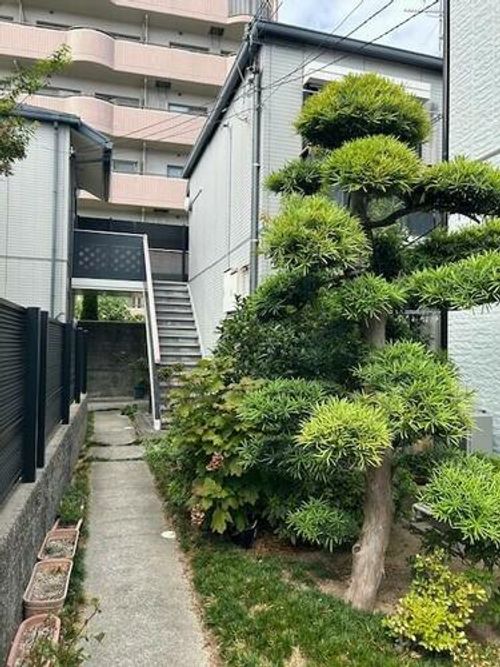 兵庫県神戸市東灘区森北町2丁目(アパート)の賃貸物件の外観