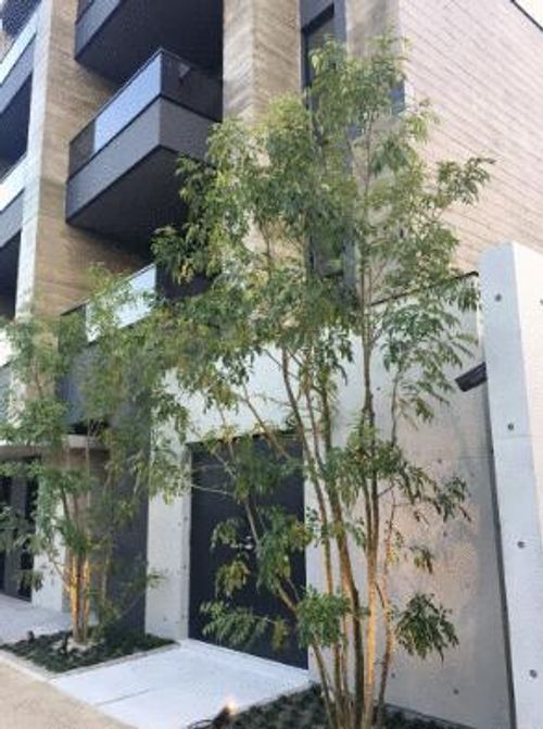 Ropponmatsu View Apartmentの玄関