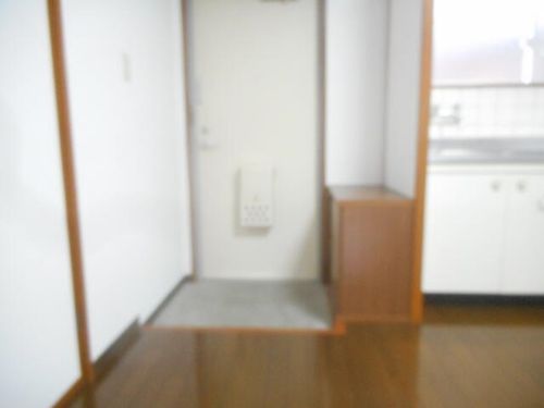 和歌山県田辺市上の山2丁目(マンション)の賃貸物件の玄関