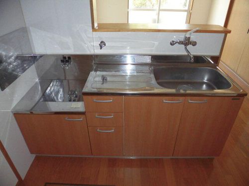 アネシスE棟E-101のキッチン