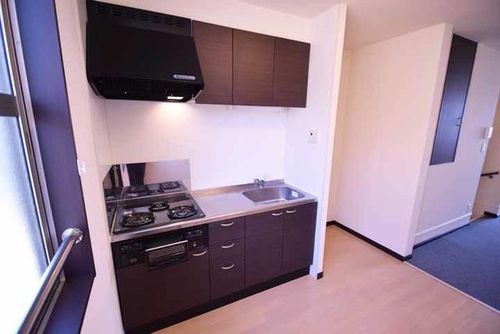 レオネクスト善のキッチン