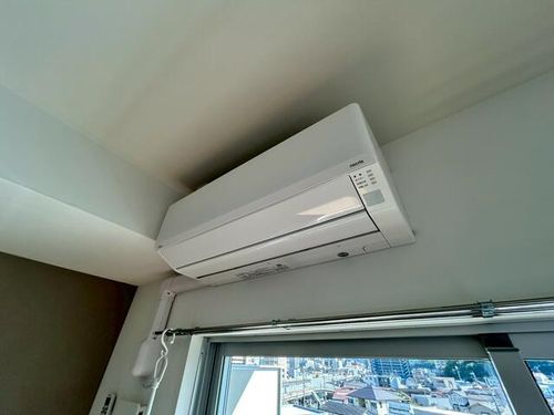 Hale Luanaのその他画像