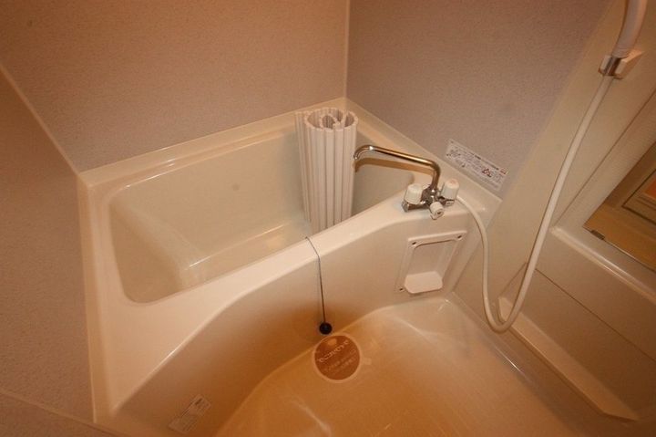 グリーン・ビュー幸203の風呂