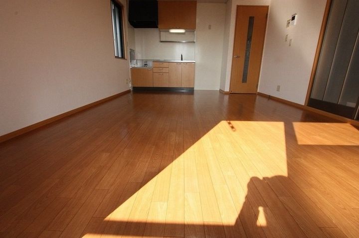 グリーン・ビュー幸203の居間