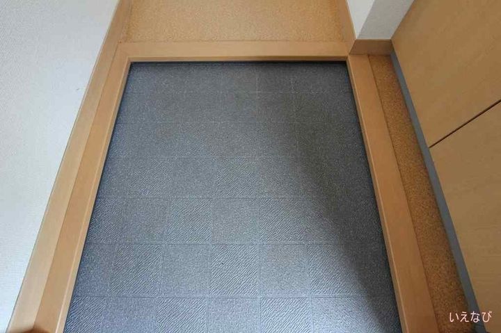 ヴィラージュ新涯A101の玄関