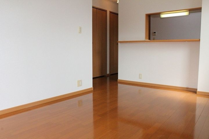 フォーゲルB101の居間