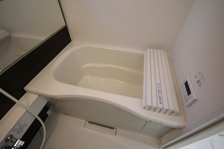 SAKURA TERRACE  2nd101の風呂