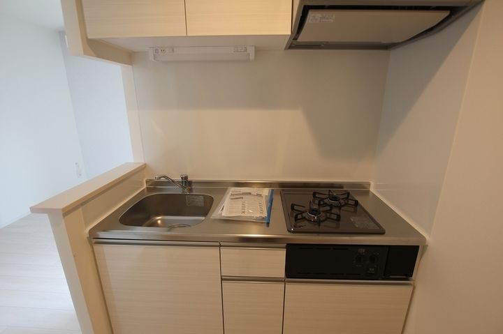 月光福山東壱番館310のキッチン
