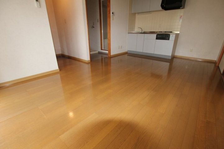 プロスパータナカ201の居間