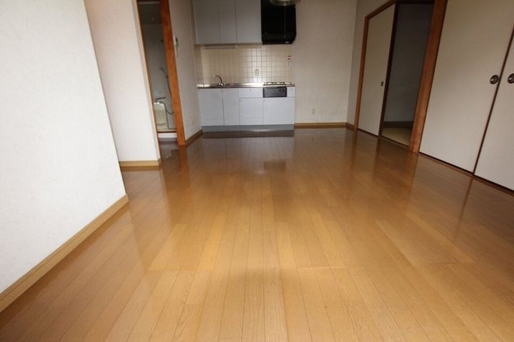 プロスパータナカ201の居間