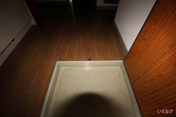 パラツィーナ光南207の玄関