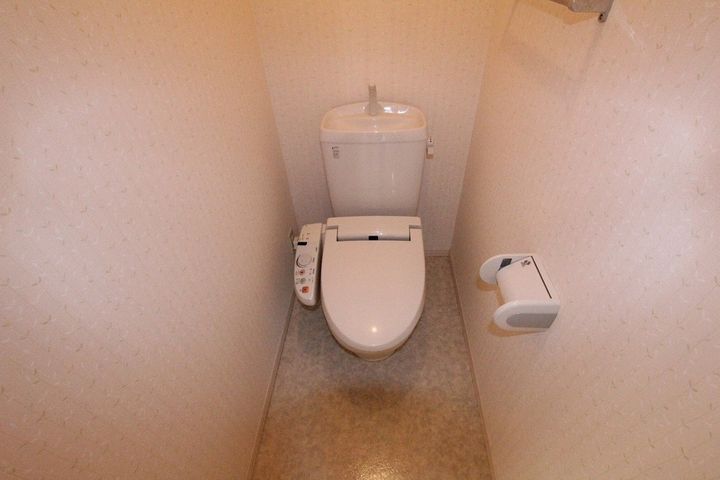 サンモール川口 C棟102の内装