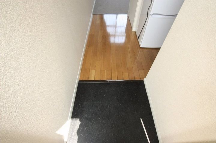 レオパレスEMI206の玄関